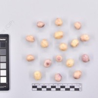 CIP 761739_OCH 13696_buk_T_2024.jpg