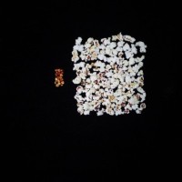 Popped and not popped comparison.jpg