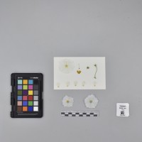 CIP765997_RPSP 320_F.JPG