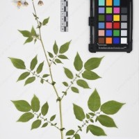 CIP 761397_OCH 12018_04.jpg