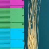 CWI18480_52647_507.jpg