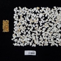 Popped and not popped comparison labeled.jpg