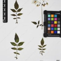 CIP 760438_HHA 6540_05.jpg