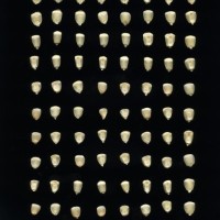 CIMMYTMA 400 CHIH 73 GD21B-6903-104 K.jpg