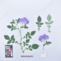 CIP 760462_HHA 6620_brc_H_2024.jpg