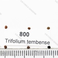 800.jpg