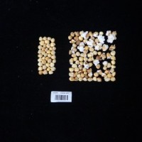 Popped and not popped comparison labeled.jpg