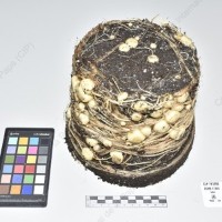 CIP 761206_OCHS 11310_wtm_Tb_2024.jpg