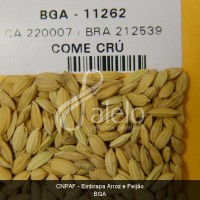 BRA00008597-7.JPG