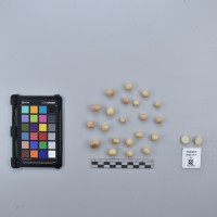 CIP760460_HHA 6617_T.JPG