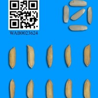 WAB0023624.jpg