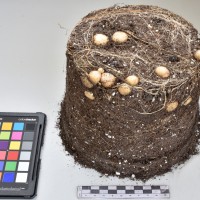 CIP765699_RPSP 011_Tb.JPG