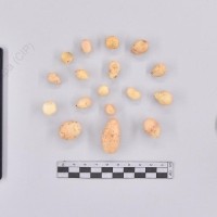 CIP 760655_TARN 241d_cph_T_2024.jpg