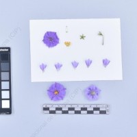 CIP 761157_OCH 10977_buk_F_2024.jpg