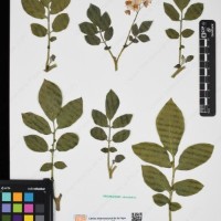 CIP 760433_HHA 6521_05.jpg