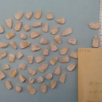 CIMMYTMA 5748 - Reference Inventory.jpg