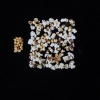 Popped and not popped comparison.jpg