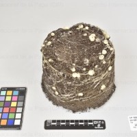 CIP 760026_OCH S68_blg_Tb(i).jpg