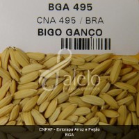 BRA00000372-3.JPG