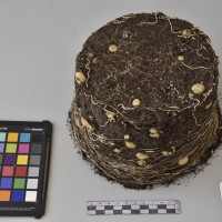 CIP760816_VSLC 141_Tb.JPG