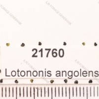 21760.jpg