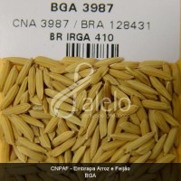 BRA00002724-3.JPG