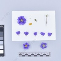 CIP 761739_OCH 13696_buk_F_2024.jpg