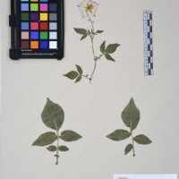 CIP 761459_OCH 12099_07.jpg