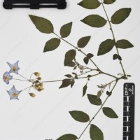 CIP 760310_HHCH 4746_04.jpg