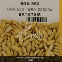 BRA00000391-3.JPG
