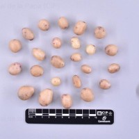 CIP 760688_OKA 4350_opl_T(t).jpg