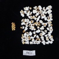 Popped and not popped comparison labeled.jpg