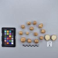 CIP765859_RPSP 181_T.JPG