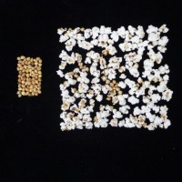 Popped and not popped comparison.jpg