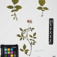 CIP 760433_HHA 6521_07.jpg