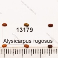 13179.jpg