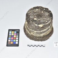 CIP 760873_VSLC 165_acl_Tb_2024.jpg