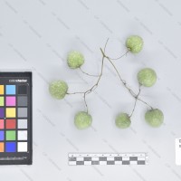 CIP 760016 (1)_B.jpg