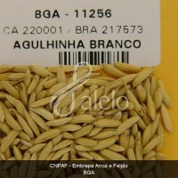 BRA00008591-0.JPG