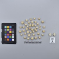 CIP765713_RPSP 025_T.JPG