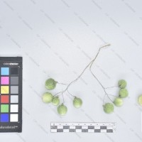 CIP 765693 (2)_B.jpg