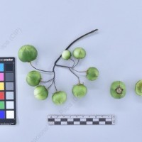 CIP 761021_OCH 13861_buk_B_2024.jpg