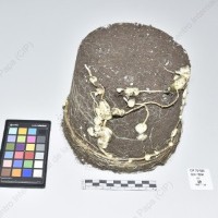 CIP 761590_OCH 13350_chl_Tb_2024.jpg