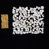 Popped and not popped comparison.jpg