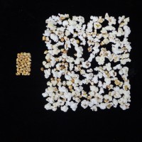 Popped and not popped comparison.JPG