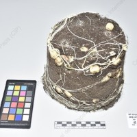 CIP 761318_OCHS 11873_buk_Tb_2024.jpg