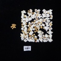 Popped and not popped comparison labeled.jpg