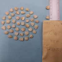 CIMMYTMA 7999 - Reference inventory.jpg