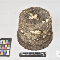 CIP 762933_SSTS 7314_nwb_Tb(i).jpg