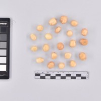 CIP 761575_OCH 13280_buk_T_2024.jpg